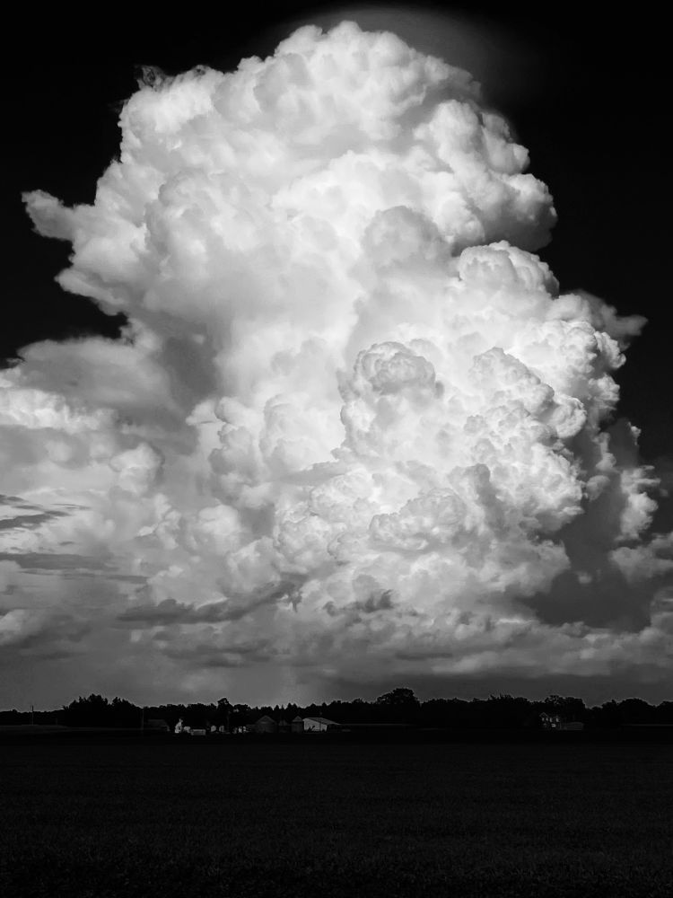 A black and white photograph of a mile high thunderstorm cloud, bubbly billows. My husband took it for me while I was driving home from Illinois. I love clouds. It’s fascinating to me how dynamic they are, but still fall into categories of shapes which the human eye becomes expert at recognizing. You cannot just smear white paint on a blue background and call it a cloud, it won’t be believed. It has to hold a classic cloud shape. In 4th grade I wrote my first research paper about clouds. 