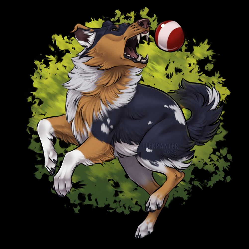 Dog jumping to catch a ball