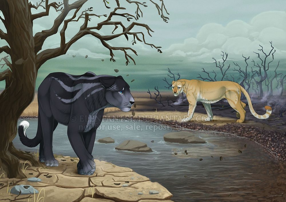 Panther and tiger pulled away from each other