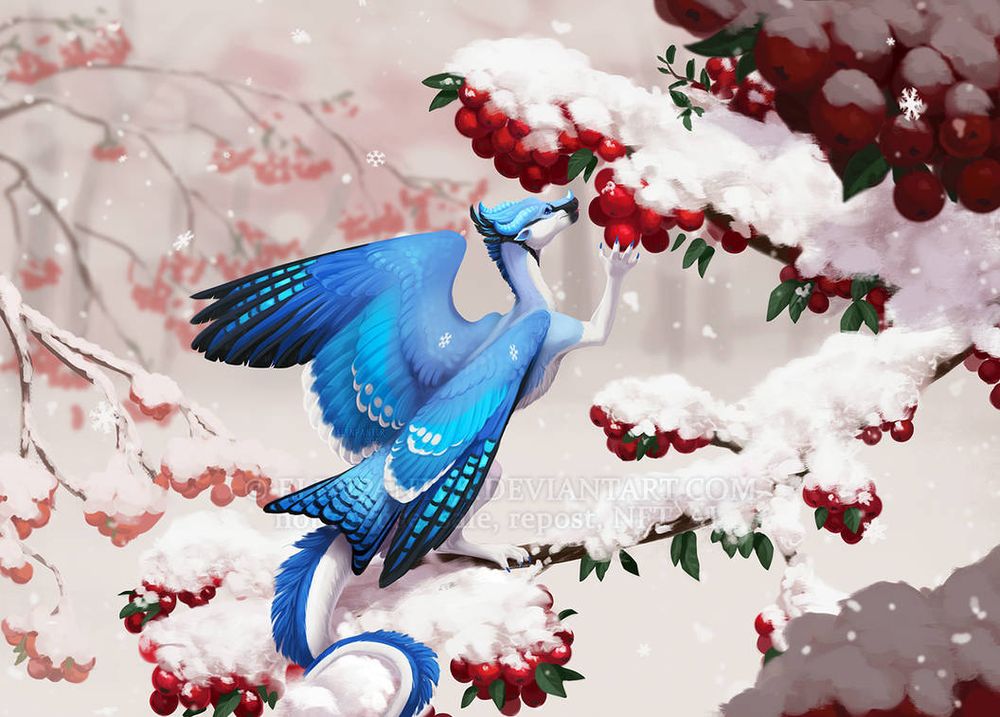 Blue jay bird dragon sitting on a branch with snow and eating red berries
