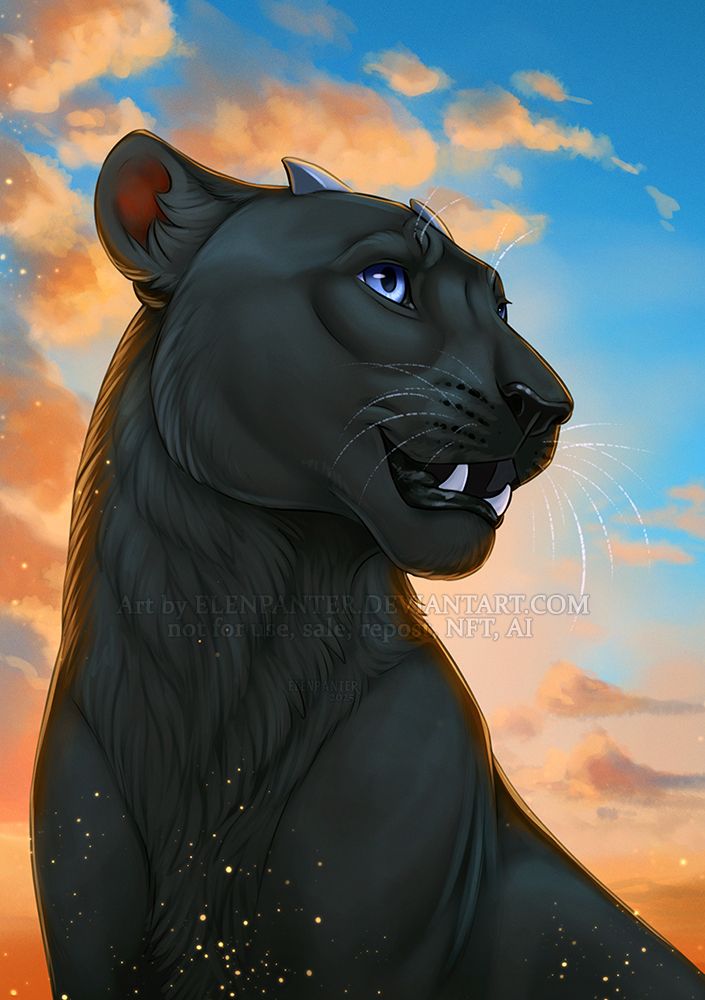 Black leopard with sunset behind them