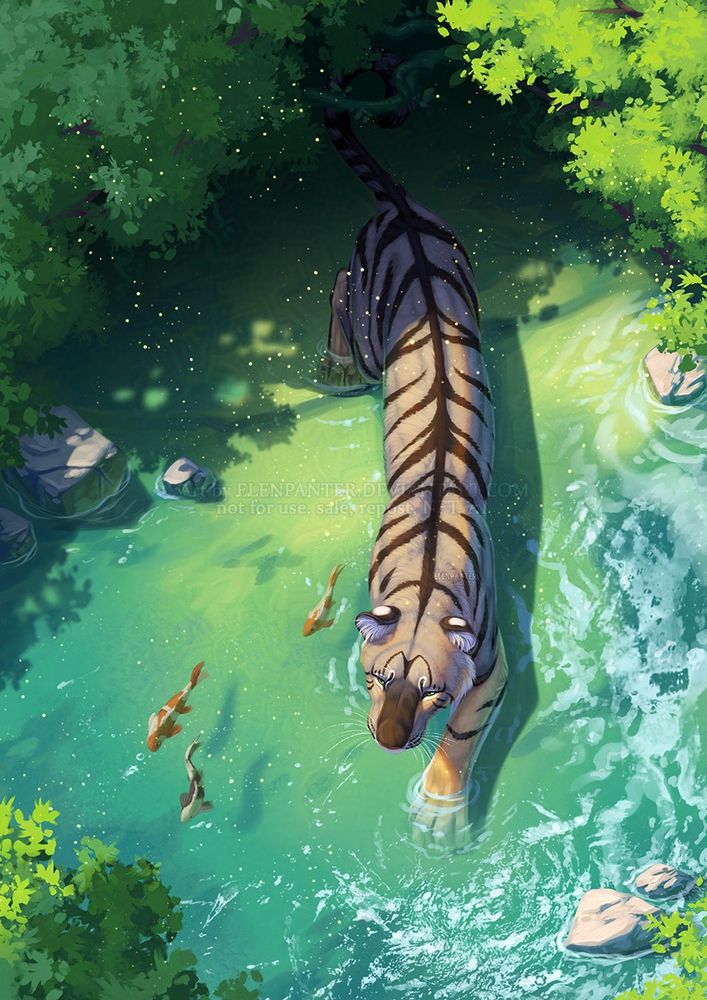 Tiger calmly walking in water under trees shadow