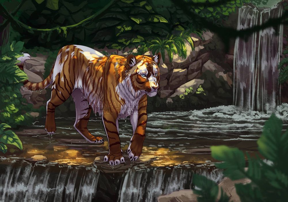 Tiger trespassing lake with waterfalls in jungles