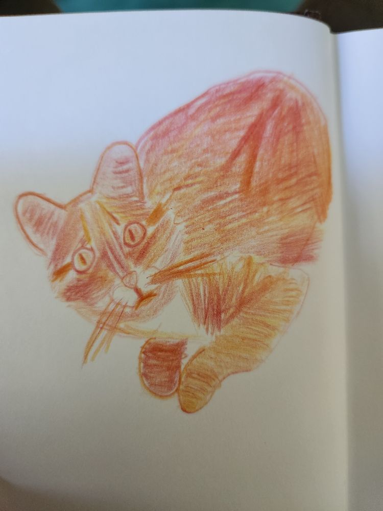 A sketch of an orange cat laying down on her side