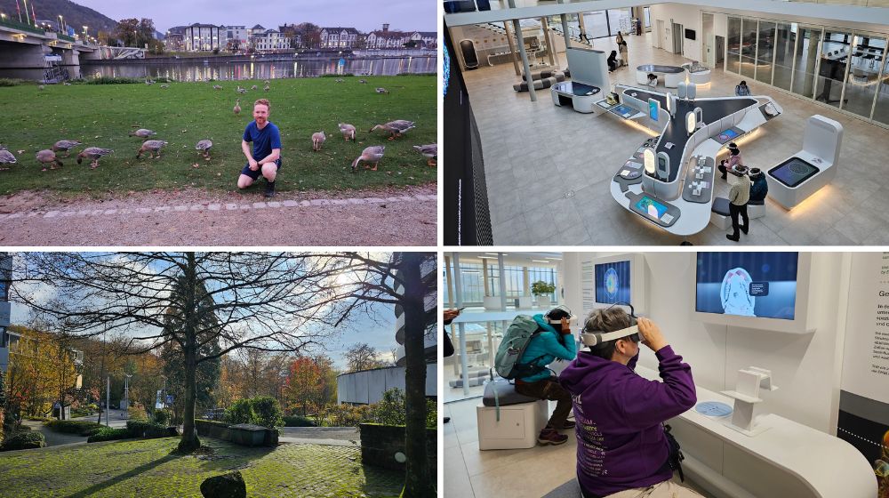 Photos of EMBL campus and Heidelberg city. 

