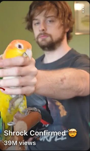 Man holding a bird, with the youtube shorts title of "Shrock Confirmed"
