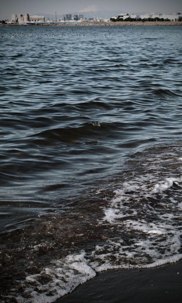 晴れた日の海です。何の変哲もない東京湾ですが、富士山が見えます。