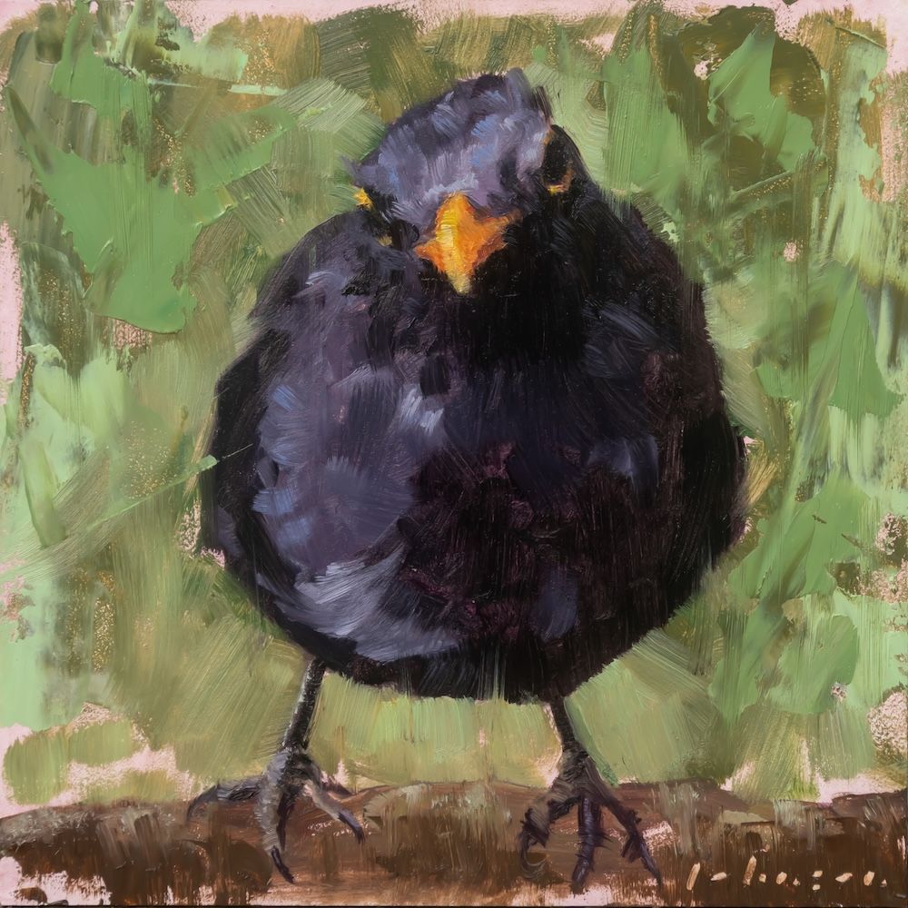 Blackbird - Oils on 6x6" panel.