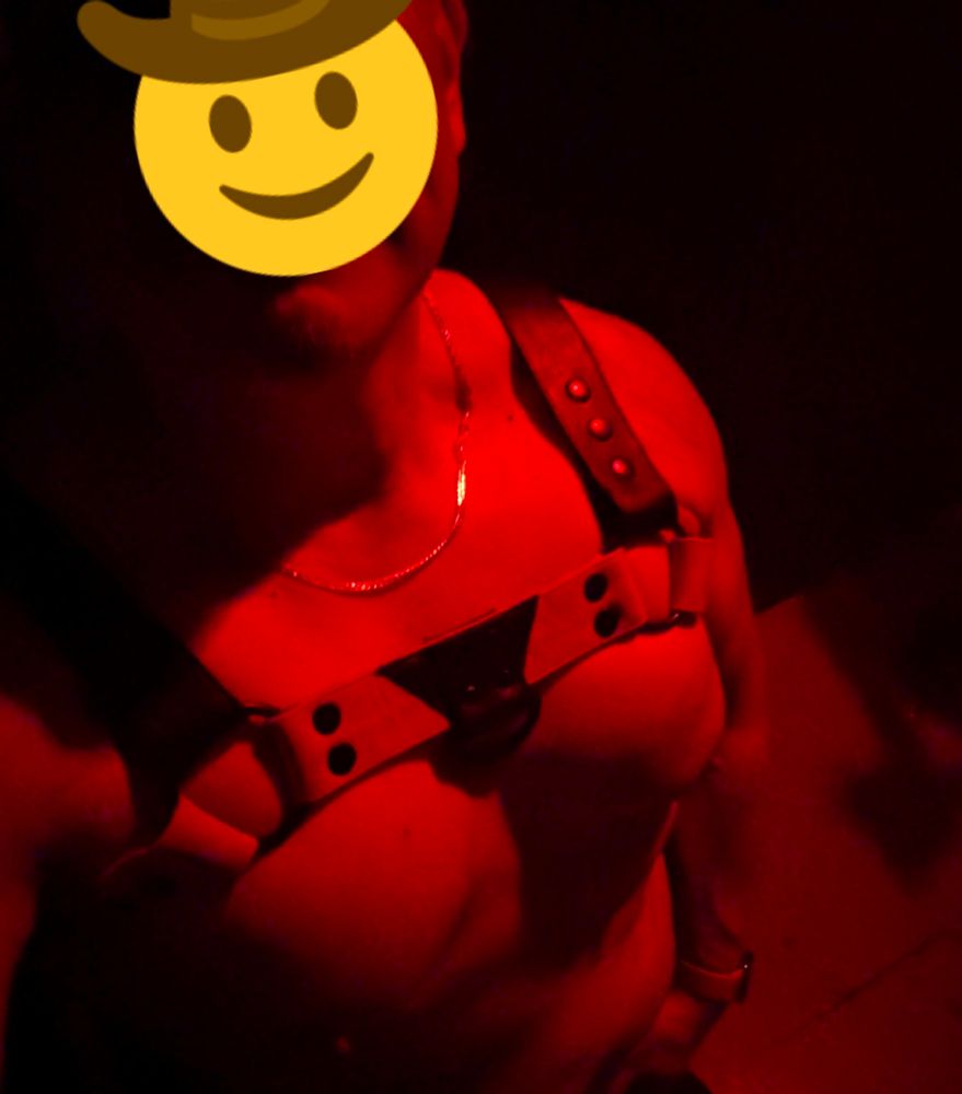 Cropped image of a red torso in a red leather harness at the toilet 