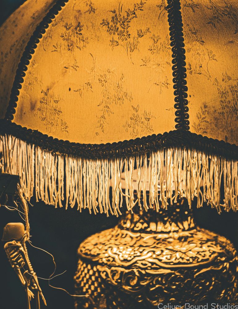 A closer look at the tassels of the lamp shade, and the stamped metal of the lamp itself. A skeleton hangs below it on the left hand side of the photo. 