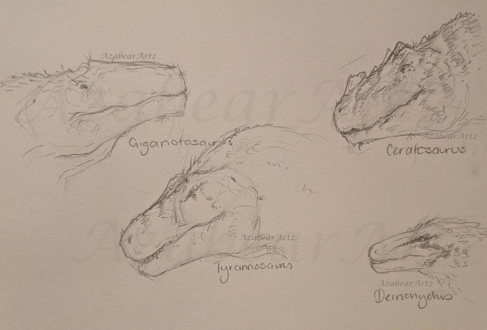 Giganotosaurus - Tyrannosaurus - Ceratosaurus - Deinonychus 