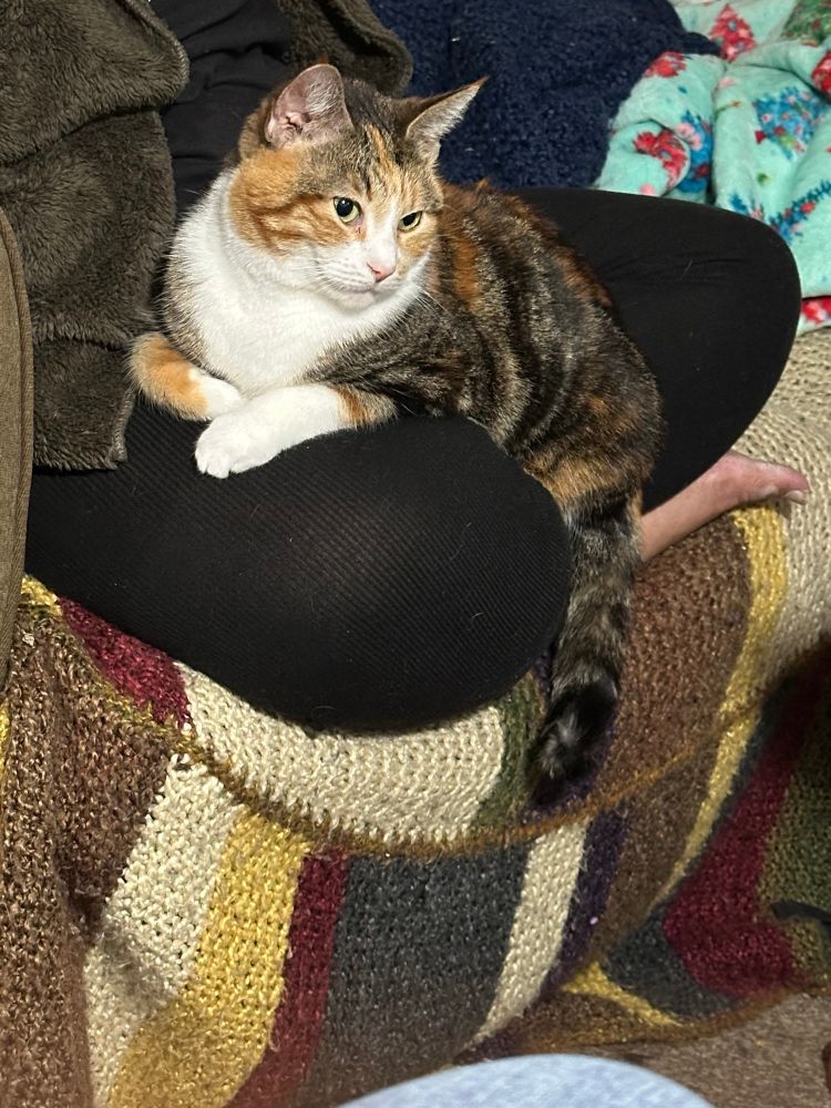 Lil Scoob finding a way to get more attention 