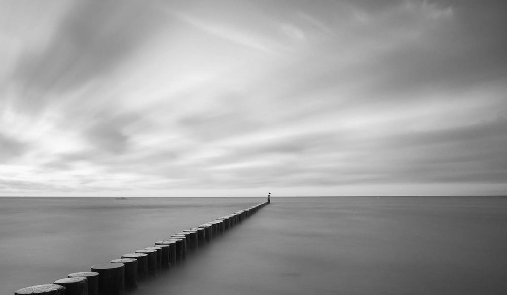 Das Bild zeigt eine Schwarz-Weiß-Aufnahme einer ruhigen Meereslandschaft. Im Vordergrund erstreckt sich eine Reihe von Holzpfählen, die in die Ferne ragen und einen Fluchtpunkt am Horizont bilden. Am Ende dieser Pfahlreihe, weit entfernt, ist ein einzelner Vogel zu erkennen, der auf dem letzten Pfahl steht und zum Meer blickt. Der Himmel ist bedeckt und weist eine weiche, streifige Textur auf, die durch eine Langzeitbelichtung verstärkt wird, wodurch auch die Wasseroberfläche sehr glatt und nahezu spiegelnd wirkt. Die Szene strahlt eine Atmosphäre der Ruhe, Einsamkeit und Weite aus.
