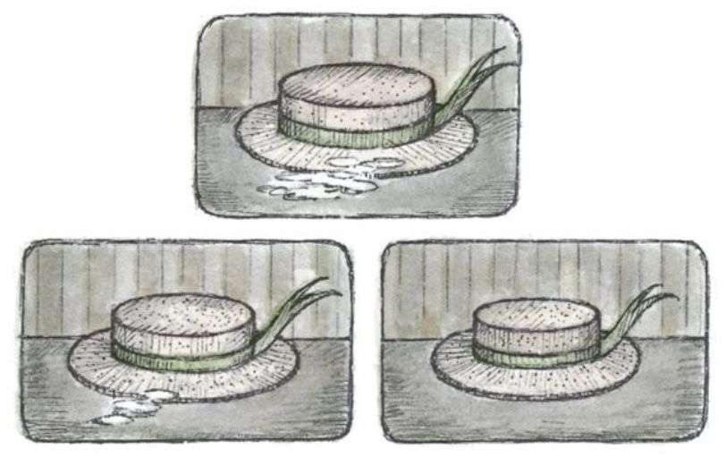 Three panels showing Toad's hat, shrinking as it dries. From 