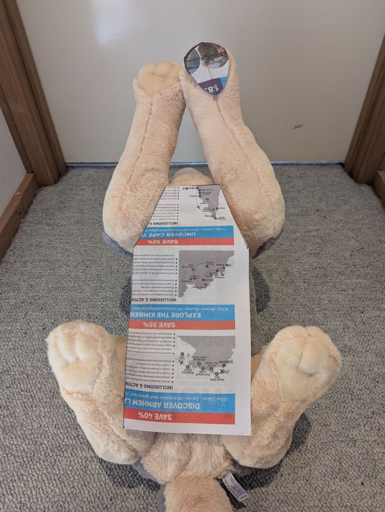 Wolf plush laying on its back with weight pouch pattern laid on top of it.  