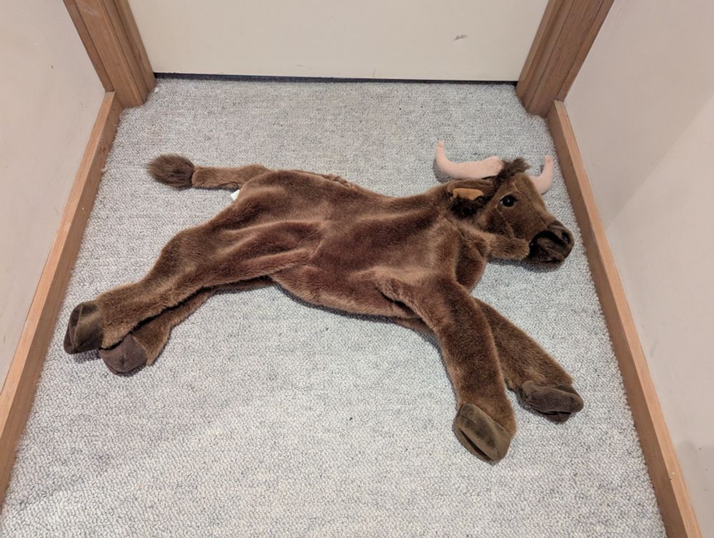 Unstuffed bull plush laying on the floor 