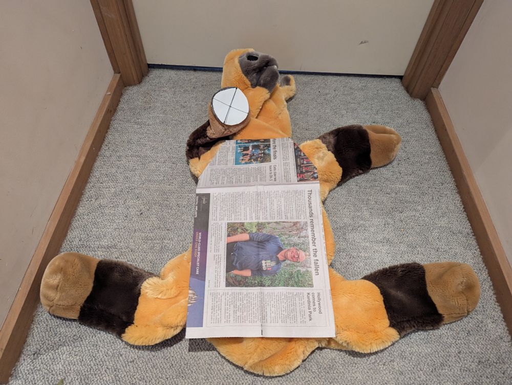 Unstuffed Spirit horse plush laying on its back with weight pouch pattern's laid on top of it.  