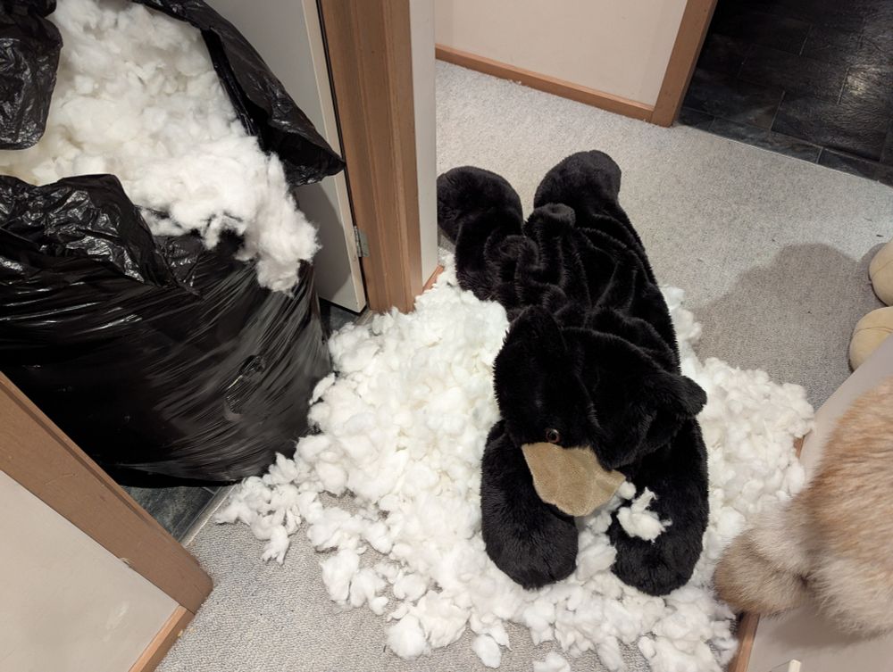 Unstuffed bear plush laying is some stuffing next to a big bag of stuffing. 