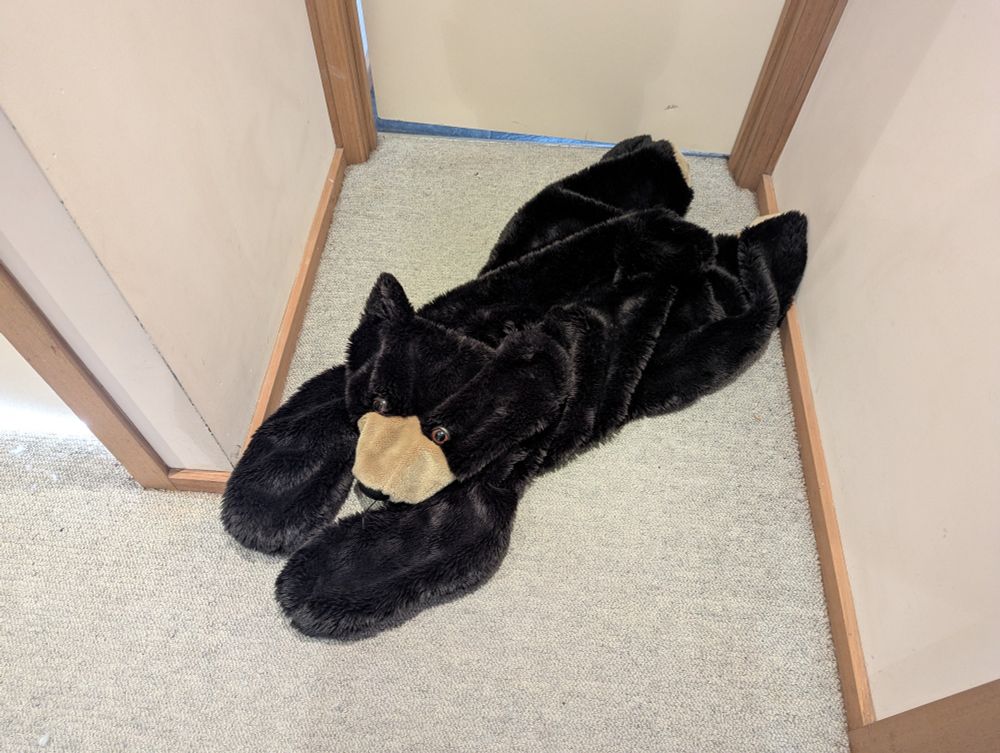 Large unstuffed bear plush laid out on the floor. 