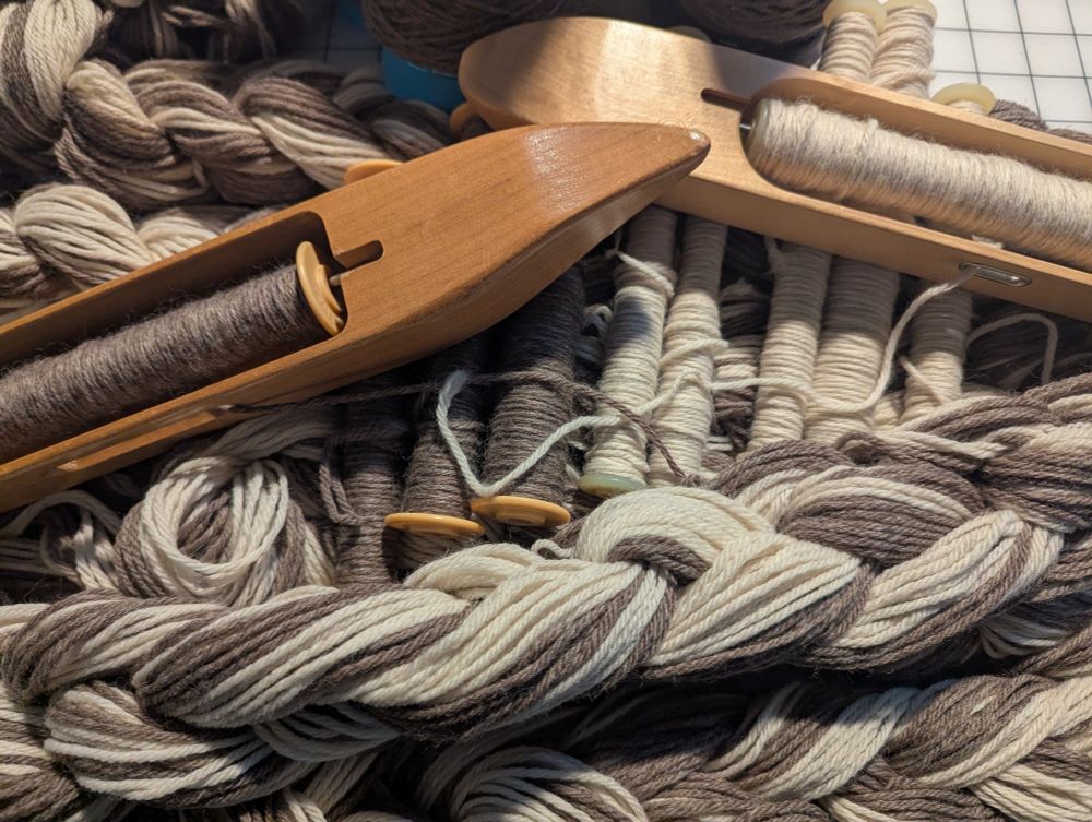 2 boat shuttles with bobbins loaded with natural brown wool and white wool on top of 3 bobbins loaded with brown wool and 5 bobbins with white wool. Below are multiple daisy chained lengths of brown and white wool.