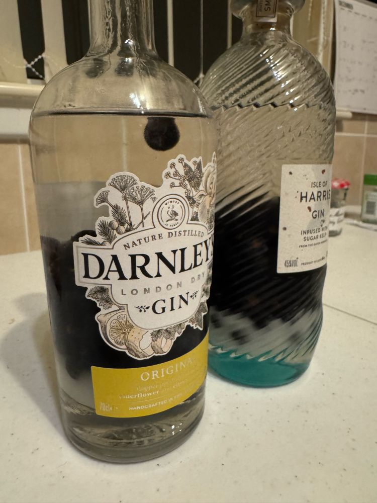 Two bottles containing gin, sloes and sugar; the sugar has settled out at the bottom of the mixture
