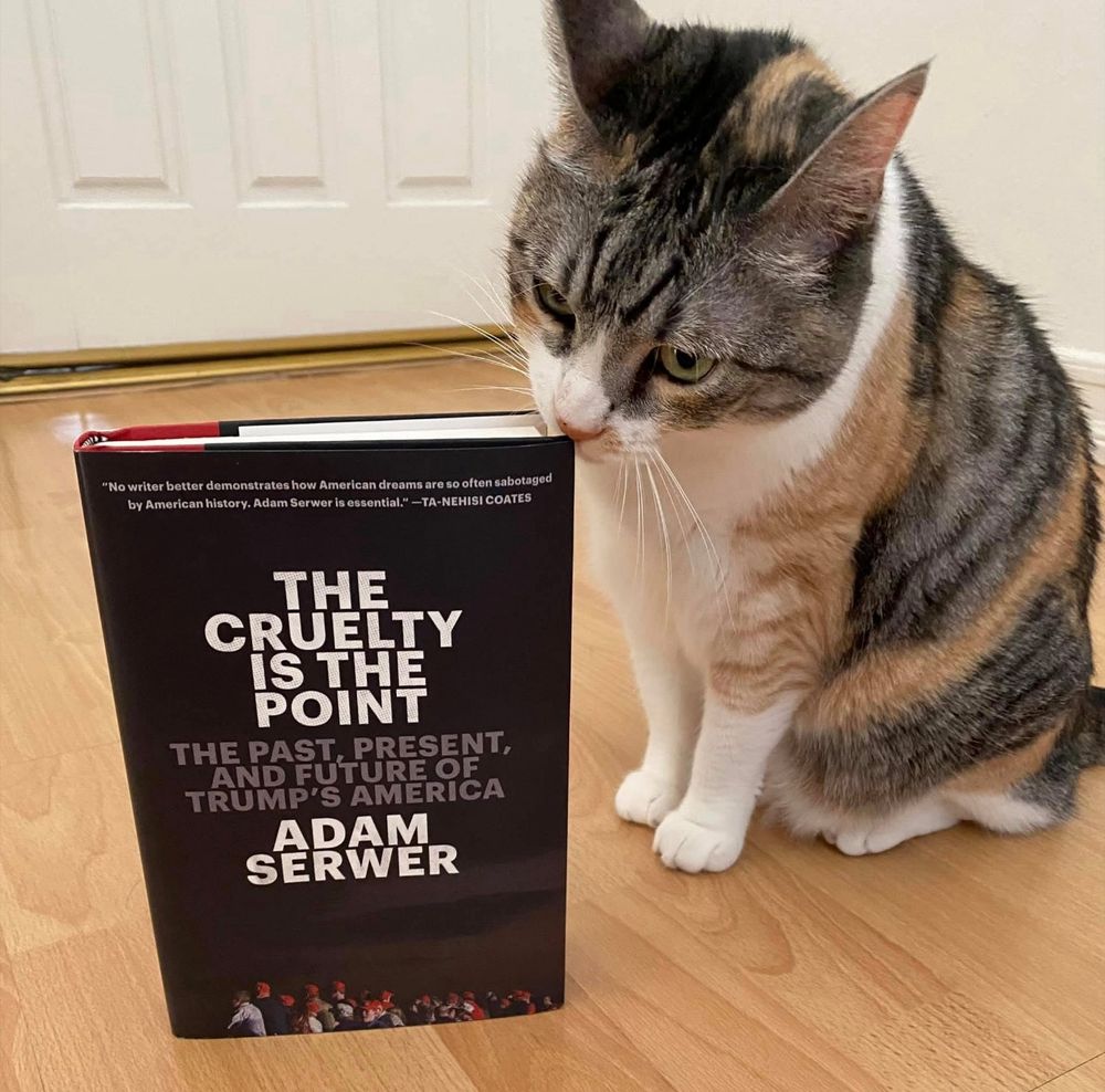 My calico cat Chloe rubbing her face against a hard copy of Adam Serwer’s book The Cruelty is the Point.