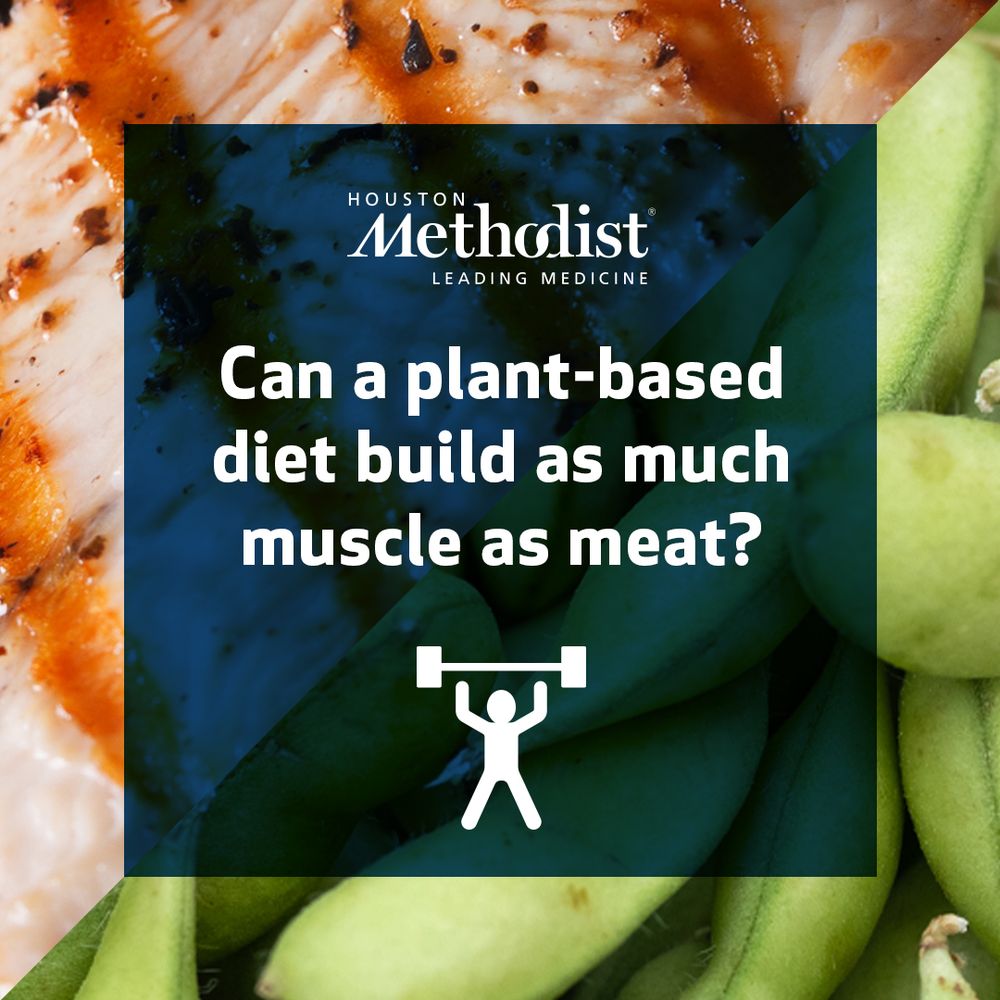 Can a plant-based diet build as much muscle as meat?