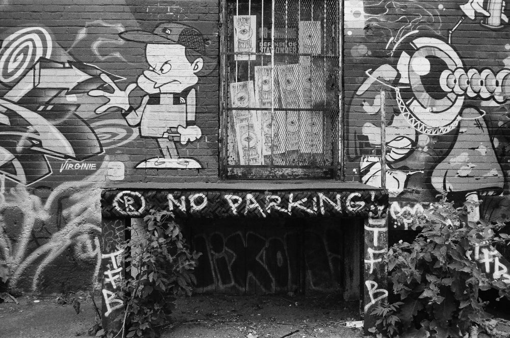 No parking spray painted on a wall along with the art of other graffiti artists.