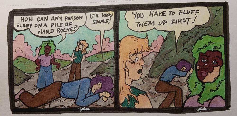 a 2 paneled comic. panel one says "how can any person sleep on a pile of rocks?" while a character responds "its very simple" 

panel 2 sats "you have to fluff them up first"