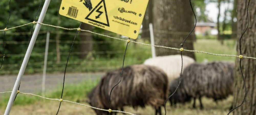 Helft subsidies voor wolfwerende rasters nog op de plank