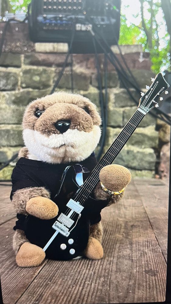 Otter mit E-Gitarre 