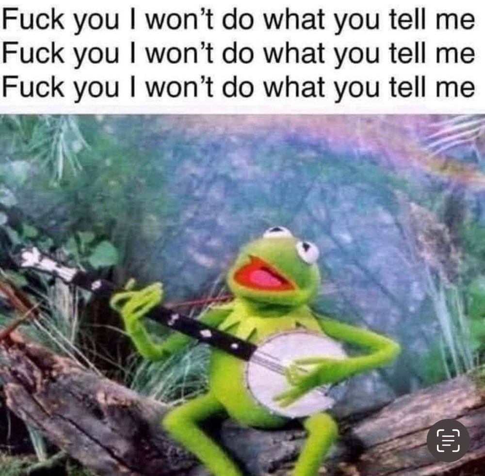 Kermit singing Killing in the Name