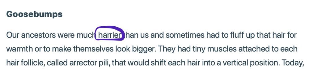 Un texte anglais contenant le mot 'hairier' orthographié 'harrier'