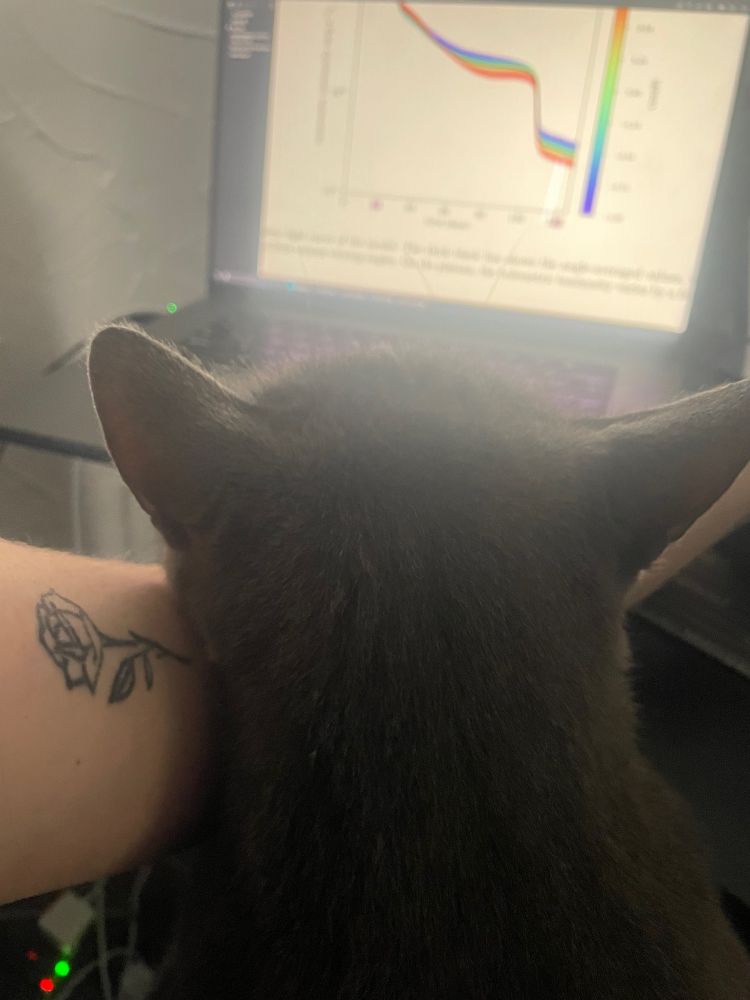 Cat looking at computer with science