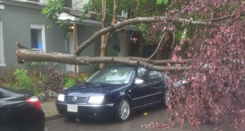 A 2004 MkIV Volkswagen Jetta is (involuntarily) bringing home firewood.