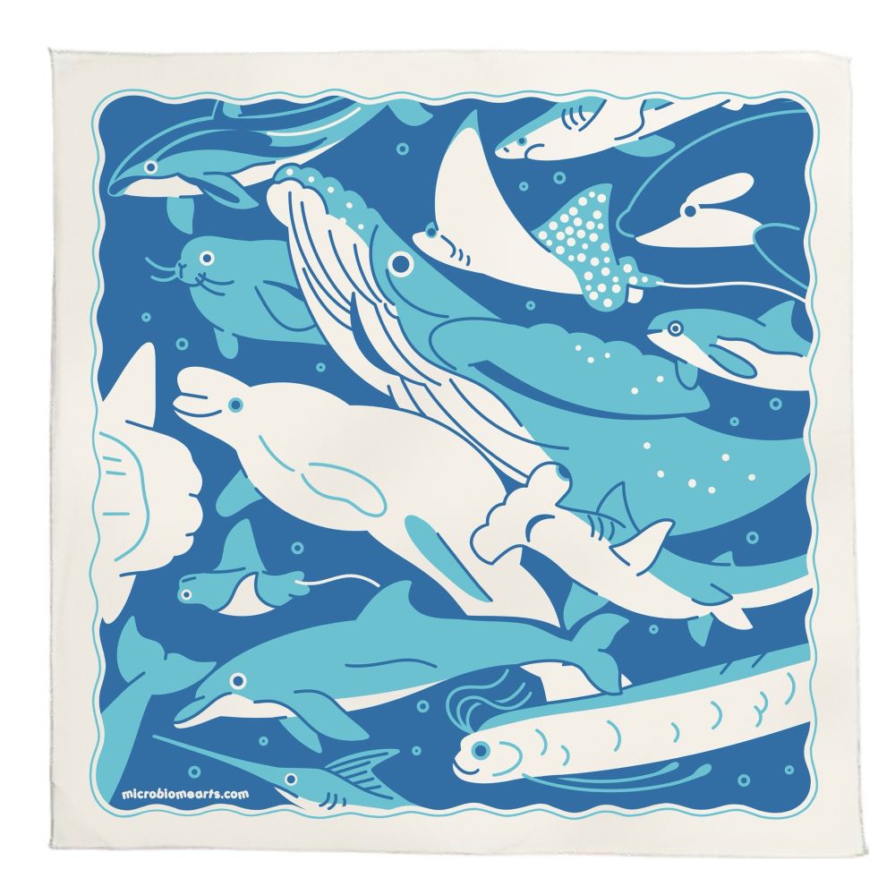 dark and light blue mock up of a bandana of many marine species including whales, sharks, and other large fish species