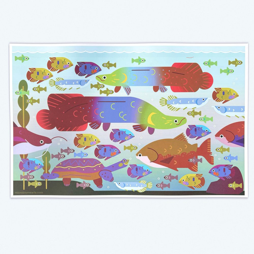 art print with a detailed illustration of a freshwater fish tank with arapaima, arowana, giant catfish and tambaqui fish.