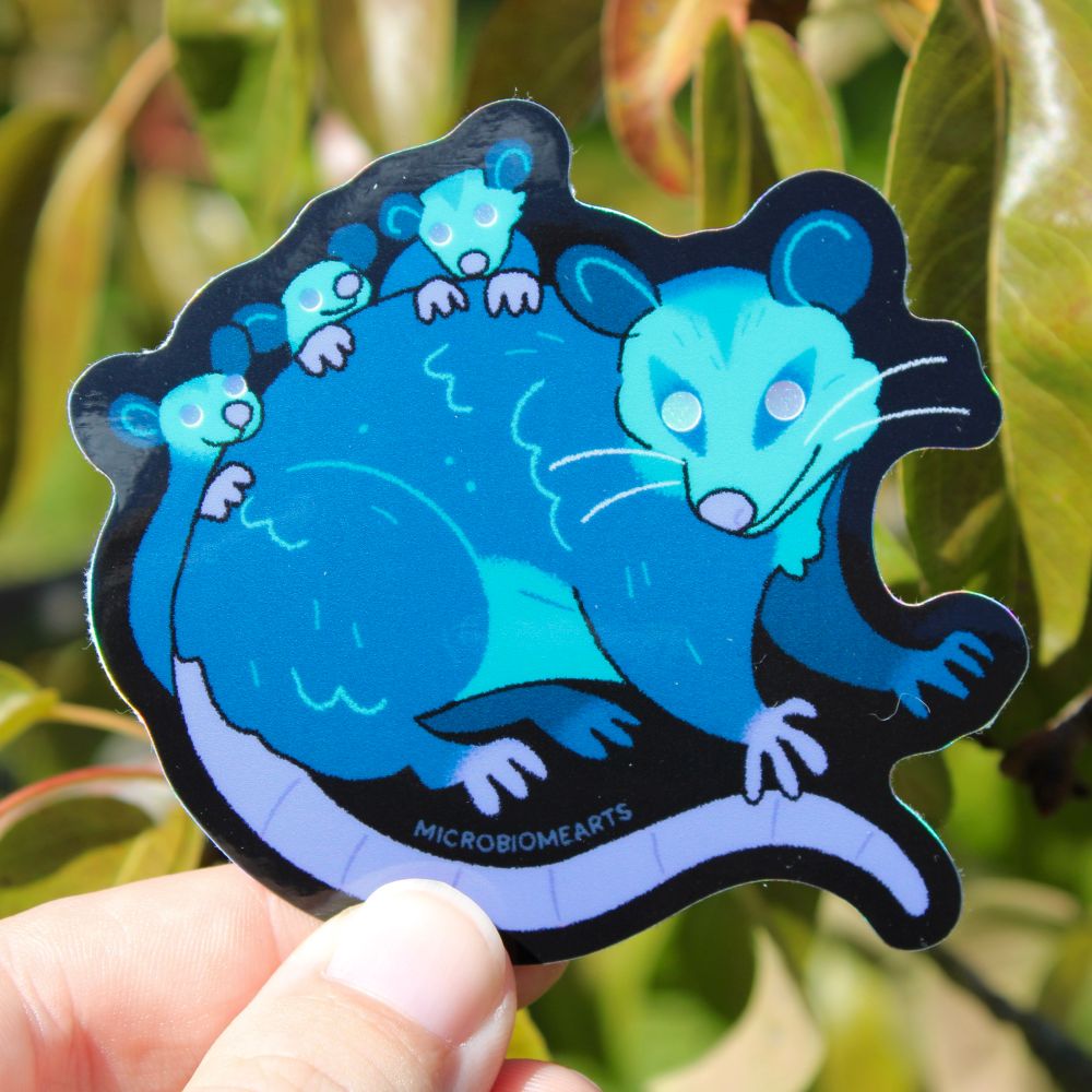 hand holding a sticker of a mom and three baby opossums. Their eyes are holographic and look like they’re shining.
