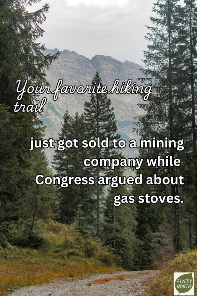 Photo of a trail through a forest full of trees and mountains in the distance. Text reads:

"Your favorite hiking trail just got sold to a mining company while Congress argued about gas stoves."

Meme by: Aivery North 