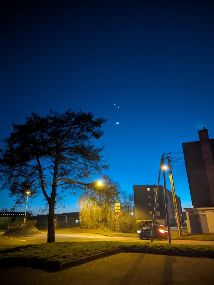 Photo du ciel à la nuit tombante avec au premier plan un pin qui se découpe sur un ciel bleu profond qui s'obscurcit en montant vers le haut de la photo.
On aperçoit une rue, repos lampadaires et des immeubles formant un horizon assez court.
Dans le ciel on voit la lune et Venus très proches ainsi que d'autres astres.