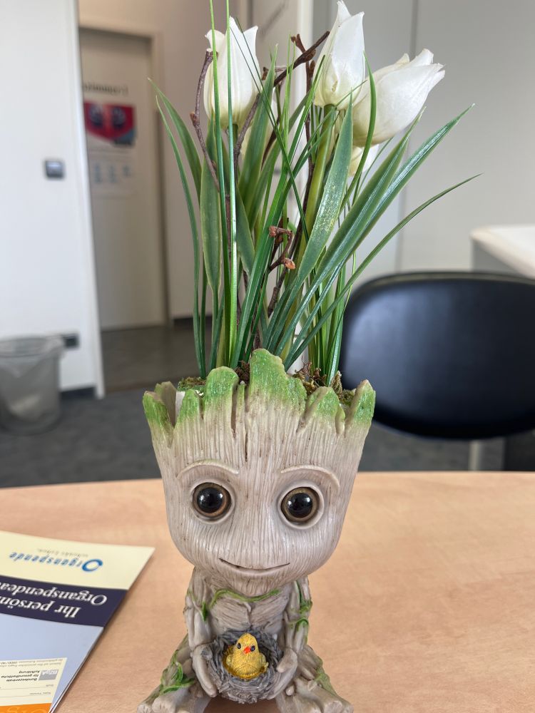 Baby  Groot hält Vogelnest mit gelbem Piepmatz. Als Haare wachsen ihm Fake-Narzissen.