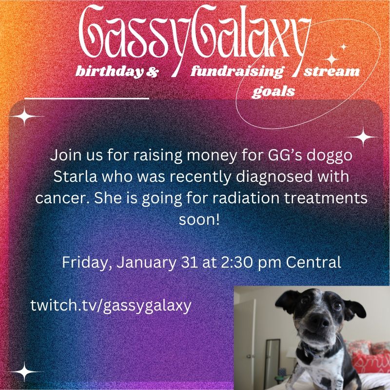 My dog is sick. A poster about a charity stream for January 31 at GassyGalaxy’s twitch account. 