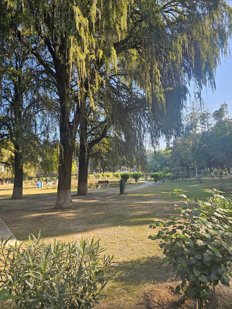 Public park with trees.
