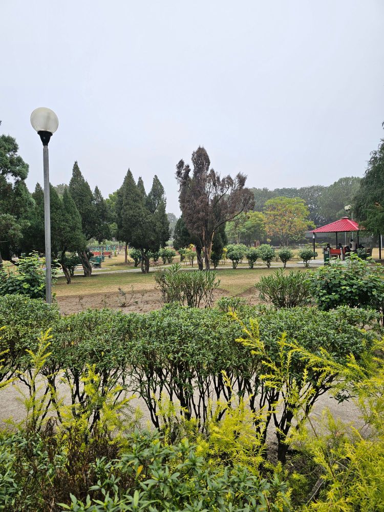 Public park with trees and plants.