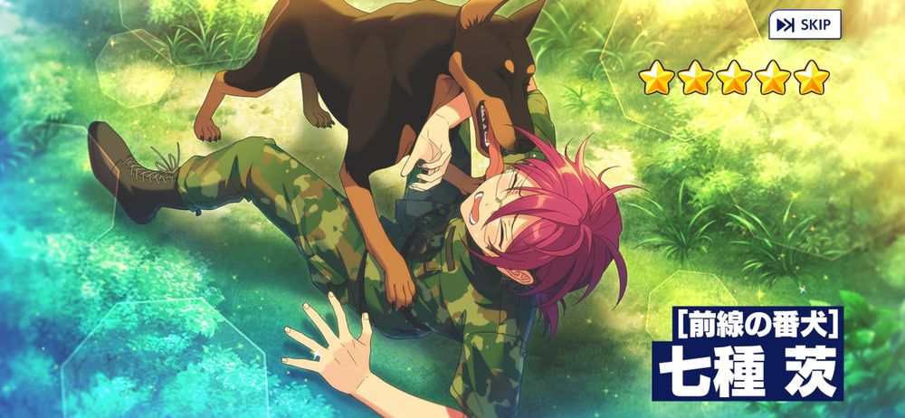 草原の上で、迷彩服を着た少年時代の七種茨が黒い犬にじゃれつかれ、顔を舐められているイラスト。茨は驚いた表情をしており、犬は楽しそうにしている。右下には「[前線の番犬] 七種 茨」と書かれた青いテキストボックスがあり、右上には星5の評価と「SKIP」ボタンが表示されている。