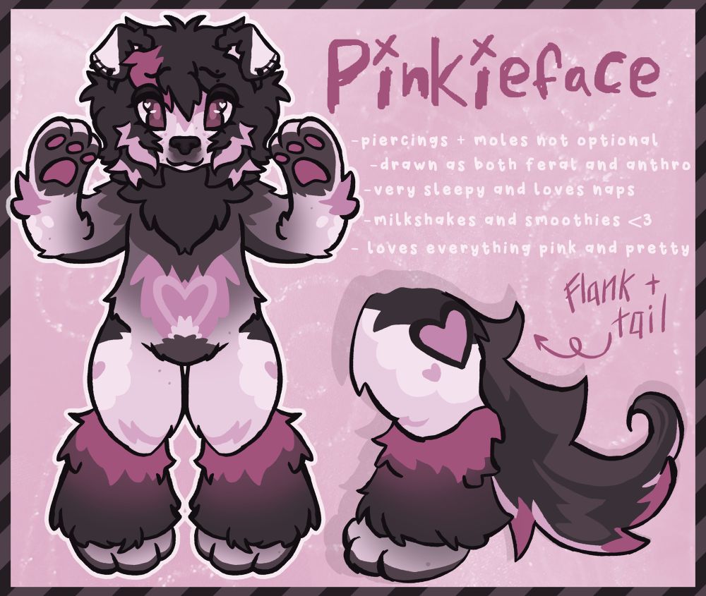 [IMAGE ID: Reference of my sona named Pinkieface! It is a dog with black, gray, white, and pink colors. /END ID]