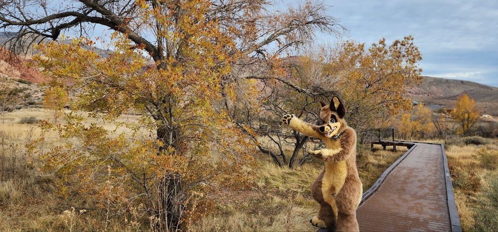 me in fursuit gesturing at a large yellowing ash tree growing in a november meadow