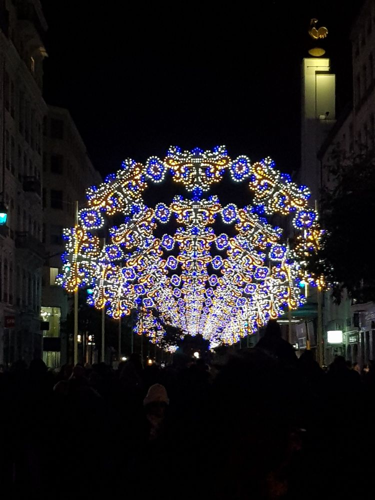 Les illuminations de la rue de la République lors de la fête des Lumières 2024