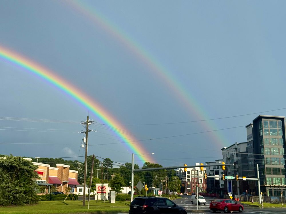 The same rainbow in close-up, showing how vivid the colors are. 