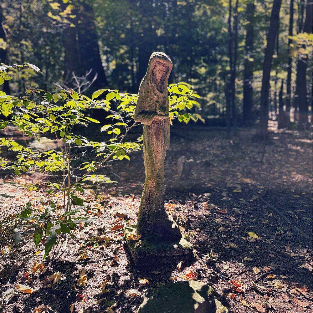 Old statue of Saint Francis of Assisi holding a bird found in Lily Dale, NY pet cemetery. Statue is in the center of the shot surrounded by yellowish green leaves growing from a small tree. The ground around the statue is sprinkled with fall leaves and moss. The background contains tree trunks and leaves. Shot is illuminated by the hazy light of golden hour.